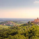 Neda In Krasno Among Vineyard - Happy *