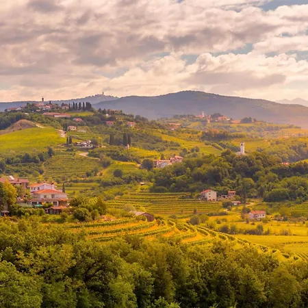 아파트 Neda In Krasno Among Vineyard - Happy
