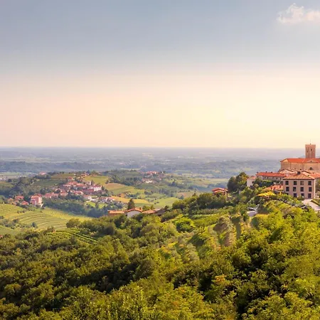 Neda In Krasno Among Vineyard - Happy *