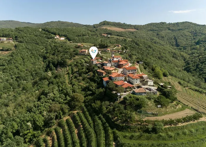 Neda In Krasno Among Vineyard - Happy *