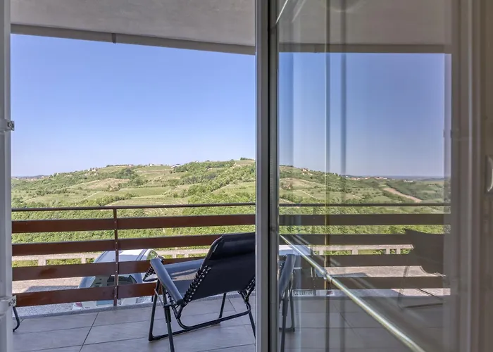 Neda In Krasno Among Vineyard - Happy