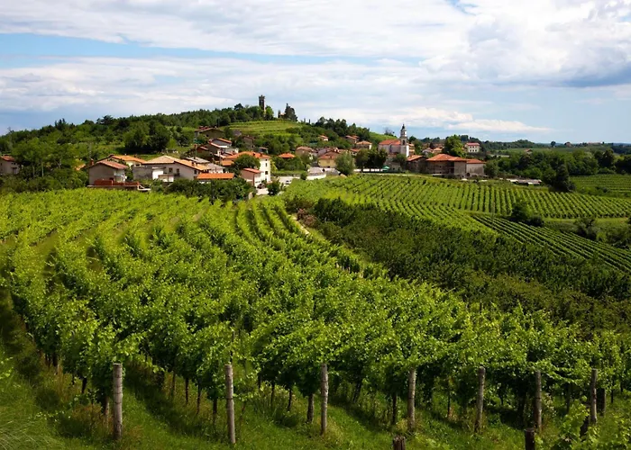 Apartmán Neda In Krasno Among Vineyard - Happy *