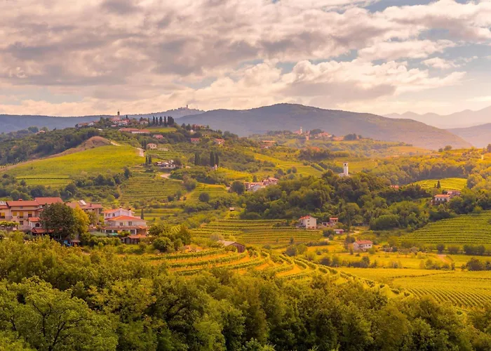 Apartmán Neda In Krasno Among Vineyard - Happy