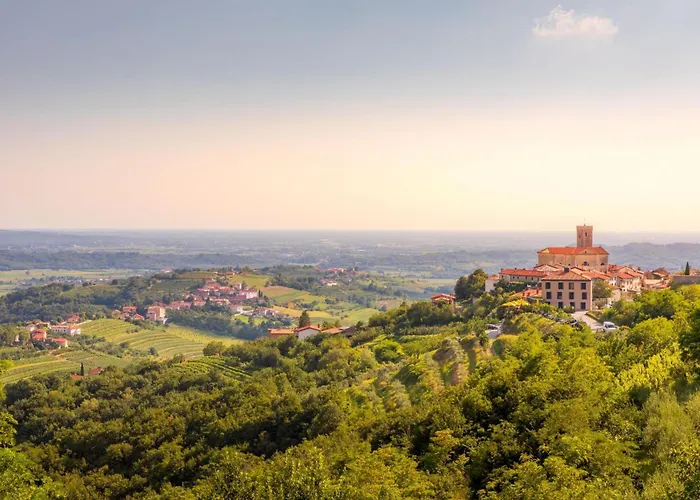 Neda In Krasno Among Vineyard - Happy *